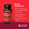 Nature'S Sunshine Blood Stimulator Tcm Concentrate, 30 Capsules | Contains 18 Chinese Herbs That Support Blood, Liver, Glands