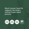 Standard Process Black Currant Seed Oil - Immune Support, Blood Flow Support, And Tissue Repair Support With Whole Food Blend