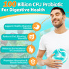 Probiotics For Men Digestive Health 100 Billion Cfus + 20 Strains - Mens Probiotic With Prebiotics And Digestive Enzymes, Mood