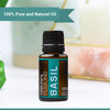 Natures Fusions Basil Essential Oil for Clarity - High Potency 100% Pure 15ml