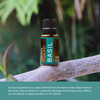 Natures Fusions Basil Essential Oil for Clarity - High Potency 100% Pure 15ml