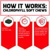 Force Factor Chlorophyll Soft Chews Antioxidants Supplement to Reduce Body Odor, Promote Fresh Breath, and Nourish Healthy Skin, Non-GMO, Gluten-Free, and Vegan, Fresh Mint Flavor, 60 Soft Chews