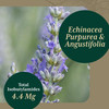 Gaia PRO Echinacea Blend - Immune Support Supplement - with Organic Echinacea Angustifolia & Echinacea Purpurea - 60 Vegan Liquid Phyto-Capsules (30 Servings)