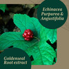 Gaia PRO Echinacea Goldenseal - Supports Immune & Lung Health - with Echinacea, Angustifolia, Echinacea Purpurea, Goldenseal & St. Johns Wort - 60 Vegan Liquid Phyto-Capsules (30 Servings)