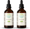 Artichoke B120 (2pcs) Alcohol-Free Herbal Extract Tincture, Concentrated Liquid Drops Natural Artichoke (Cynara scolymus) Dried Leaf (2x4 fl oz)
