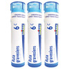 Boiron Ruta Graveolens 6c Homeopathic Medicine for Eye Strain - Pack of 3 (240 Pellets)