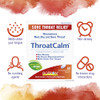 Boiron ThroatCalm Tablets for Pain Relief from Red, Dry, Scratchy, Sore Throats and Hoarseness - 120 Count (Pack of 2)