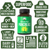 Grass Fed Pancreas Support Supplement from Beef Organs for Digestive, Gut, Pancreatic, Glandular Health. With Multi Enzymes: Lipase, Protease, Trypsin, Amylase. Lactose Free, Non GMO Capsules