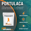 BulkSupplements Portulaca Oleracea (Purslane) Powder - Anti Aging Supplement - Skin Supplement (500 Grams - 1.1 lbs)