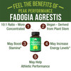 Fadogia Agrestis Ultra High Strength 10:1 Extract in Vegan Capsules. Support Athletic Performance, Boost Energy, Stamina for Men and Women