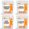 BulkSupplements Agmatine Sulfate Powder 250G, with Creatine Monohydrate Powder (Micronized Creatine) 500G, Beta Alanine Powder 500G, & L-Citrulline Malate 2:1 Powder 500G Bundle