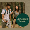 Gaia PRO Zinc 20 - Immune & Antioxidant Support Supplement - with Zinc Mono - 20mg Zinc Supplement - 250 Tablets (250 Servings)