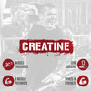 5% Nutrition Rich Piana CreaTEN 10-in-1 Formula | Flavored Creatine Powder for Muscle Gain | Enhance Power, Strength, Endurance, & Recovery | 8.78 oz, 30 Srvngs (Lemon Lime)