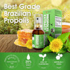 AFC Japan Brazilian Green Propolis Extract with Honey Spray 1.18 Fl Oz