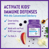 New Chapter Elderberry Gummies for Kids 2+, USDA Organic,64x Concentrated Pure Elderberry for Immune Support,Great Tasting Whole-Food Gummies, Vegan & Non-GMO, 30 ct