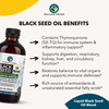 Amazing Herbs Black Seed And Pumpkin Seed Cold-Pressed Oil Blend - Gluten-Free, No Preservatives, High In Omega 3, 6, & 9, Improves Immune Respones & Promotes Digestive Health - 8 Fl Oz