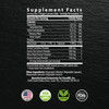 Karamd Focus 365 - Nootropic Brain Supplement For Memory & Focus - With Maca Root, Ginseng, Acetyl L-Carnitine & Green Tea - Vegetable Capsules - 30 Servings (60 Capsules)