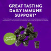 Nature'S Way Sambucus Elderberry Immune Gummies, Daily Immune Support For Kids And Adults*, With Vitamin C, Vitamin D3, Zinc, Gluten Free, Vegetarian, 60 Gummies (Packaging May Vary)