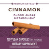 Nature'S Way Premium Extract Cinnamon Standardized To 8% Flavonoids 120 Vcaps