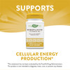 Nature'S Way Riboflavin Vitamin B2 Supports Cellular Energy* 30 Tablets