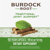 Nature'S Way Burdock Root 475 Mg Per Capsule,100 Count (Pack Of 2)