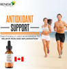 Renew Actives Turmeric Liquid Extract With Ginger & Lemon Oil