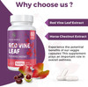 SUSTAINANCE Red Vine Leaf Extract 1400Mg & Horse Chestnut Extract 100Mg Supplement For Leg, Vein, Circulation, Heart, Skin (60 Capsules - 2 Bottle)