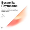 Thorne Research Boswellia Phytosome