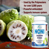 YUMMYVITE Noni Capsules - Concentrated 8:1 Noni Fruit Extract Superfood (Morinda Citrifolia) Equivalent To 4000Mg Noni Fruit, Immune Support - 60 Capsules