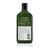 ‎Avalon Organics Shampoo, Volumizing Rosemary, 11 Fluid Ounce (Pack of 2)