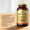Solgar Potassium - 250 Tablets - Nerve & Muscle Health Promotes Electrolyte Balance - Vegan Gluten & Dairy Free Kosher - 250 Servings