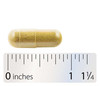 Integrative Therapeutics Berberine