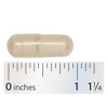 Size of the capsule