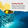 Barlean s Cod Liver Oil Omega 3 Fish Oil With 900Mg Lemonade 8 Oz
