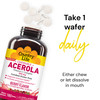Country Life Acerola Vitamin C Complex 500Mg Chewable Berry Flavored Wafers Supports Immune Health 180 Wafers Certified Gluten Free By Gfco Certified Vegan By Ava