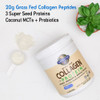 Garden of Life Grass Fed Collagen Protein Powder - Vanilla 14 Servings Collagen Powder For Joints Mobility Muscle Repair Collagen Peptides Super Seeds Coconut Mcts Hydrolyzed Collagen Supplement