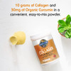Garden of Life Multi-Sourced Collagen Turmeric Apple Cinnamon 220 G
