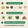 Garden of Life Raw Organic Protein & Greens - Vanilla - Vegan Protein Powder For Women And Men Plant Protein Pea Protein Greens & Probiotics - Dairy Free Gluten Free Low Carb Shake 20 Servings