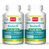 Jarrow Formulas Saccharomyces Boulardii + Mos - 5 Billion Viable Organisms Per Serving - 180 Delayed Release Veggie Caps 2 Pack - Probiotic + Prebiotic - Intestinal Tract Support - Up To 360 Servings