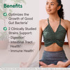 Jarrow Formulas Probiotic+ Prebiotic 2 Billion Live Cells Supplement Digestive Health And Immune Support 90 Blackberry Flavor Probiotic+ Prebiotic Gummies 45 Day Supply