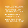 L'Oreal Paris Superior Preference Fade-Defying Color + Shine System 8Rg Rose Gold Blonde(Packaging May Vary)