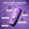 L'Oreal Paris Hyaluron Moisture 72H Moisture Filling Shampoo | With Hyaluronic Acid | For Dry & Dehydrated Hair | Adds Shine & Bounce 180Ml