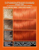 L'Oreal Paris Colorista Electric Mango Auburn Permanent Hair Dye Gel Long-Lasting Permanent Hair Colour Electric Mango Auburn 1 Count (Pack Of 1)