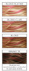 L'Oreal Paris Colorista Hair Makeup Temporary Hair Colour For Hot Pink Blondes 30 Ml Pack Of 2