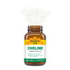 Country Life Choline 266mg