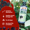Barlean'S Omega Swirl Omega-3 Flax Oil Supplement Blackberry 16 Fl Oz