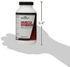 Beverly International Muscle Synergy 240 TABS (15 Servings) Clinically Dosed Ingredients  HMB L-Arginine L-Citrulline Creatine Monohydrate L Ornithine  Bigger Stronger Lasting Pumps