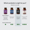 Pendulum Glp-1 Probiotic (Subscription)