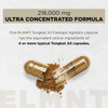 228,000mg 200x Strength Tongkat Ali for Men w. 30x Fadogia Agrestis Extract - 10% Eurycomanone Highest Potency Longjack Fadogia Agrestis Tongkat Ali Supplement - Muscle Growth Support Pills for Men