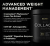 ELMNT Premium Chocolate Collagen for Women Weight Loss & Beauty w. Probiotics, ACV, KSM66, Hyaluronic Acid, Biotin & Patented Multi Collagen Peptides Protein Powder - Colageno Hidrolizado for Women